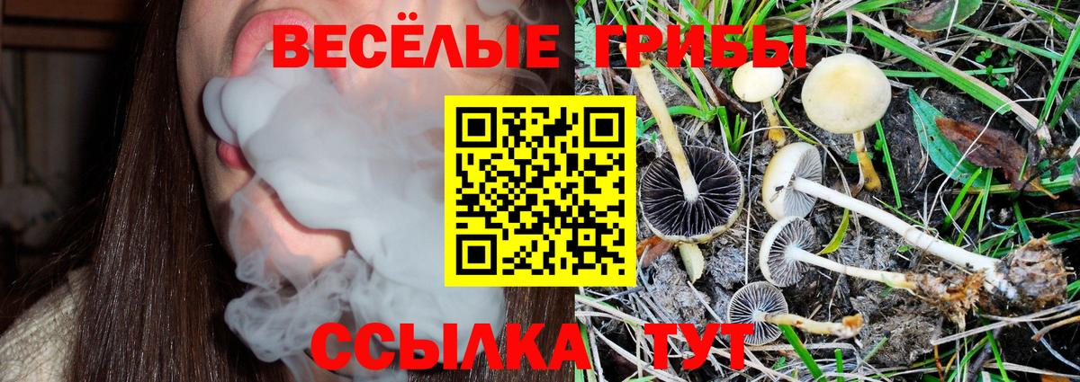 Галлюциногенные грибы Magic Shrooms Вятские Поляны